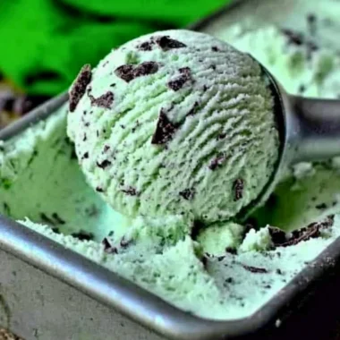 Homemade mint chocolate chip ice cream in a bowl garnished with chocolate chips.
