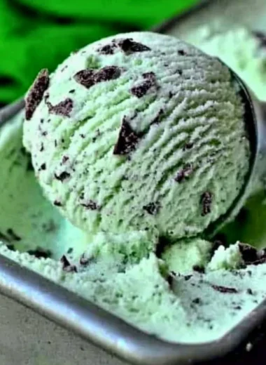 Homemade mint chocolate chip ice cream in a bowl garnished with chocolate chips.