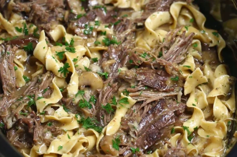 Crock pot beef and noodles dish served in a bowl for a family dinner