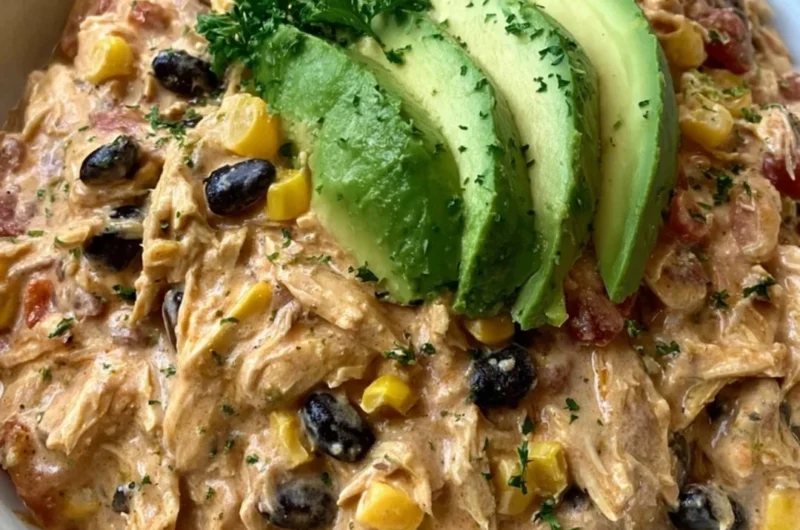 Delicious Crock Pot Fiesta Chicken with vibrant spices and ingredients.
