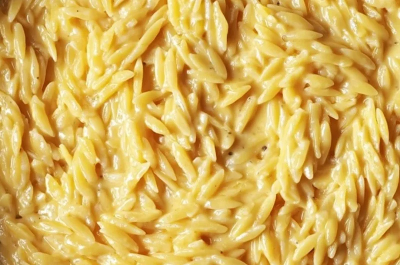 Protein-packed cottage cheese orzo dish served in a bowl with vegetables